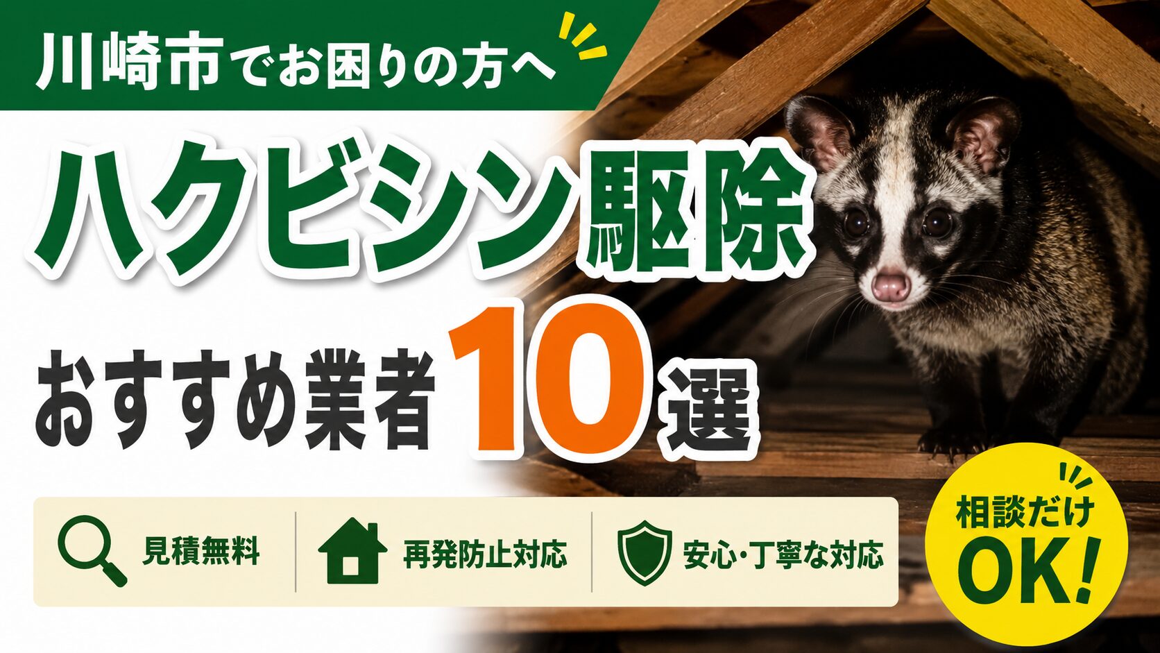 川崎市のハクビシン駆除おすすめ業者10選｜見積無料で相談しやすい業者を紹介