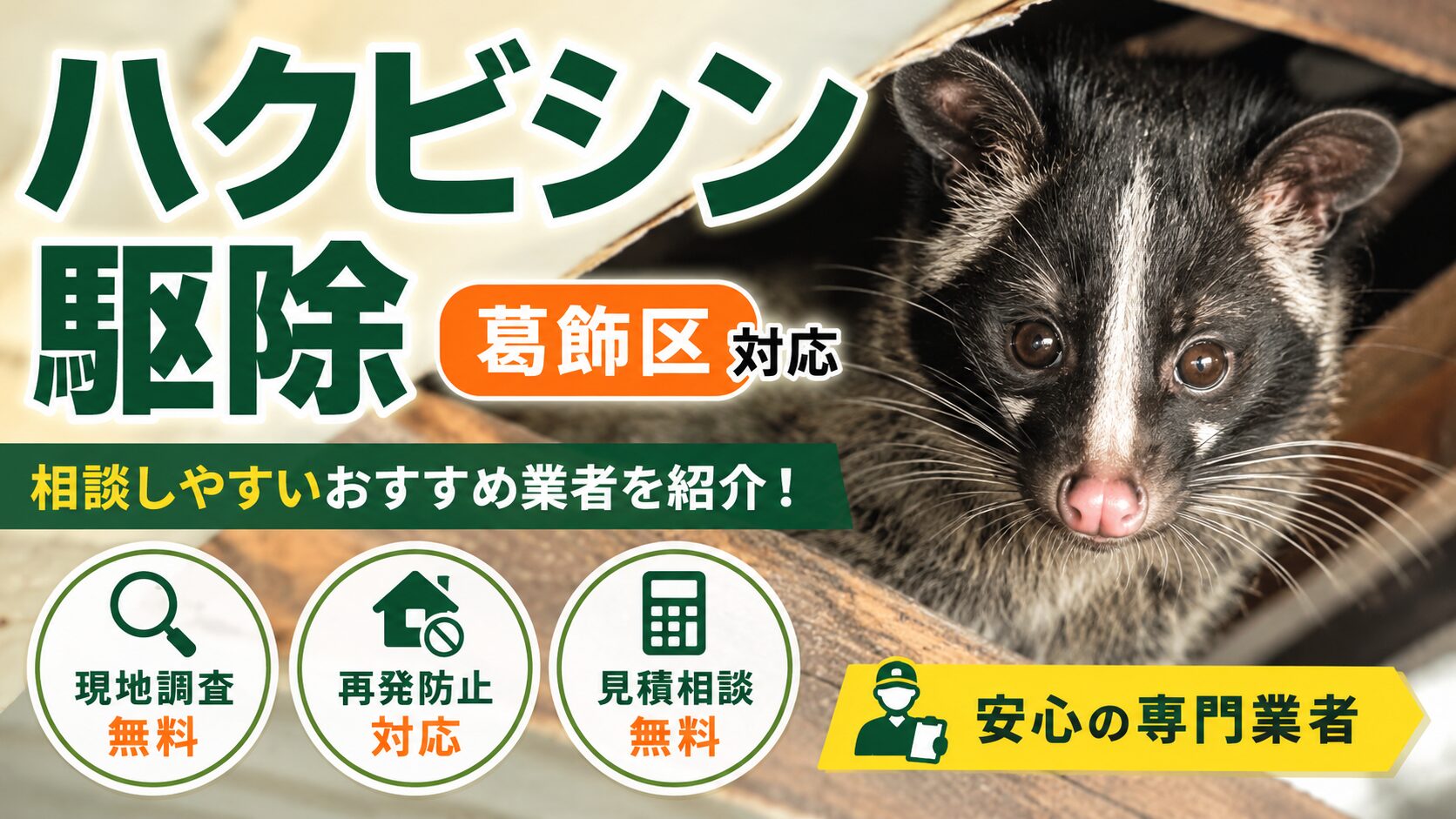 葛飾区のハクビシン駆除おすすめ業者7選！見積無料で相談しやすい業者